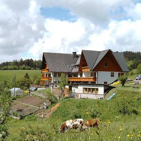Ferienwohnung Haus Erlenmoos St. Georgen im Schwarzwald Exterior foto